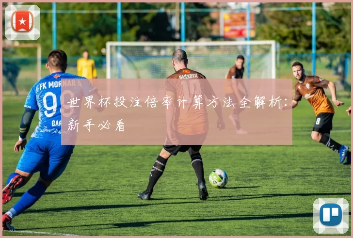 世界杯投注倍率计算方法全解析:新手必看