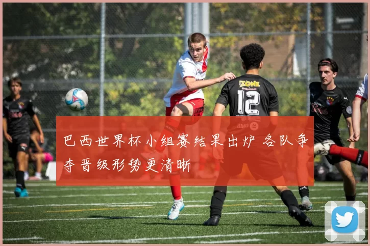 巴西世界杯小组赛结果出炉 各队争夺晋级形势更清晰