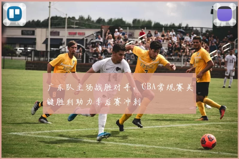 广东队主场战胜对手，CBA常规赛关键胜利助力季后赛冲刺