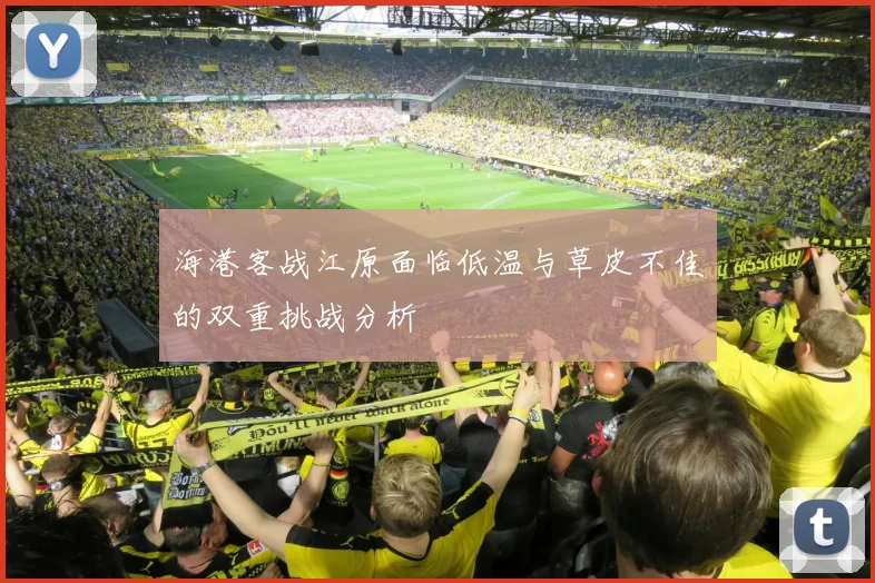 海港客战江原面临低温与草皮不佳的双重挑战分析