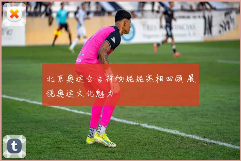 北京奥运会吉祥物妮妮亮相回顾 展现奥运文化魅力