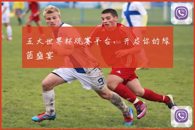 五大世界杯观赛平台，开启你的绿茵盛宴
