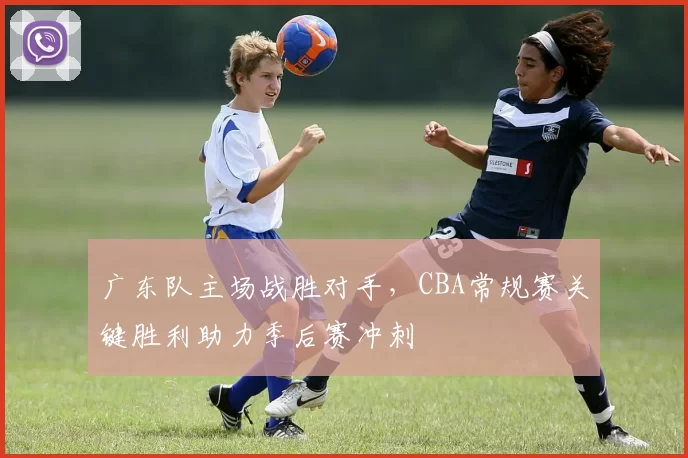 广东队主场战胜对手,CBA常规赛关键胜利助力季后赛冲刺