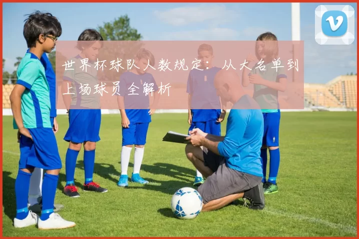 世界杯球队人数规定：从大名单到上场球员全解析