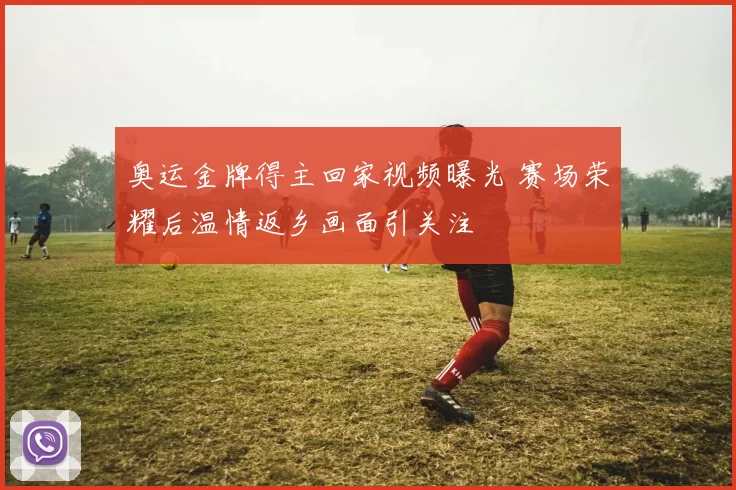 奥运金牌得主回家视频曝光 赛场荣耀后温情返乡画面引关注