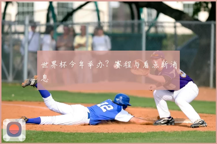 世界杯今年举办?赛程与看点新消息