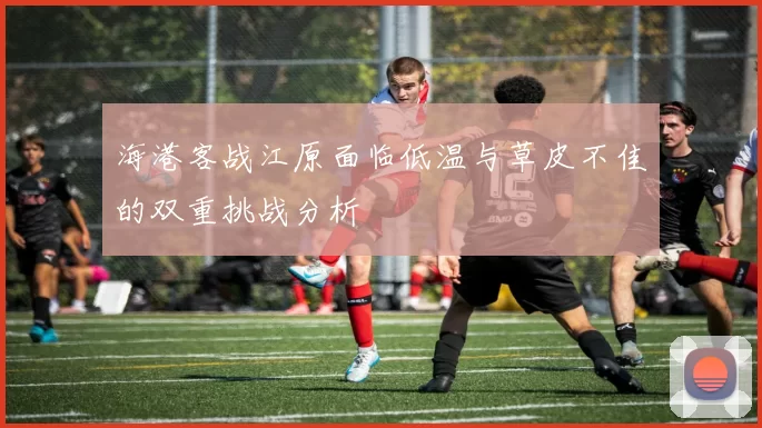 海港客战江原面临低温与草皮不佳的双重挑战分析