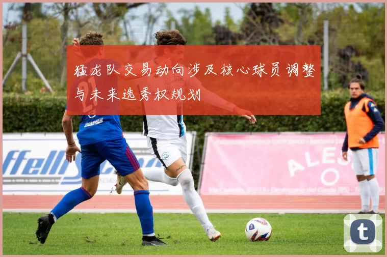 猛龙队交易动向涉及核心球员调整与未来选秀权规划