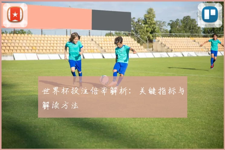 世界杯投注倍率解析：关键指标与解读方法