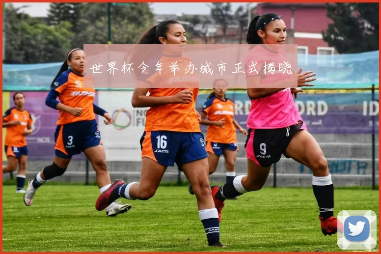 世界杯今年举办城市正式揭晓