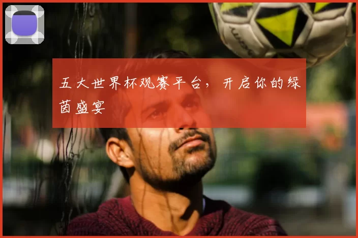 五大世界杯观赛平台，开启你的绿茵盛宴