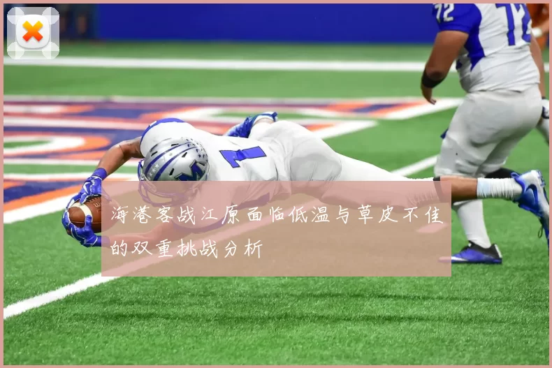 海港客战江原面临低温与草皮不佳的双重挑战分析